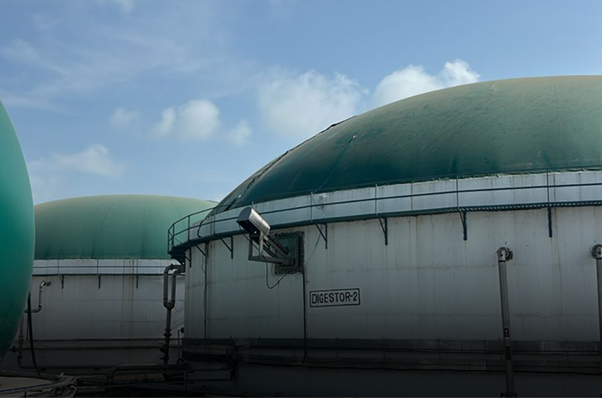 Biogas-plant